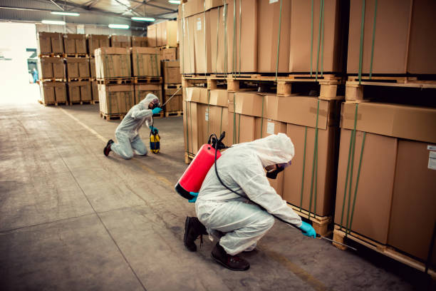 Best Mosquito Control Services  in Custer, SD