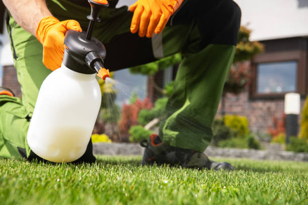 Best Affordable Pest Control Services  in Custer, SD