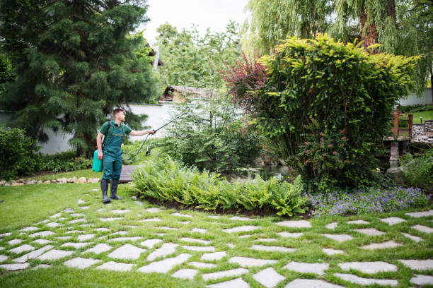 Wasp Removal Services in Custer, SD