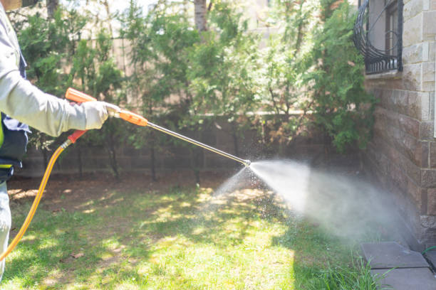 Best Wasp Removal Services  in Custer, SD