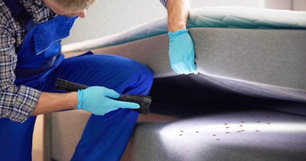Best Pest Control Near Me  in Custer, SD