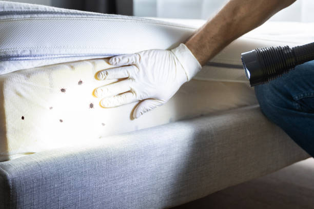 Best Pest Inspection Near Me  in Custer, SD