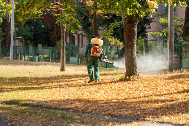Best Pest Prevention Services  in Custer, SD