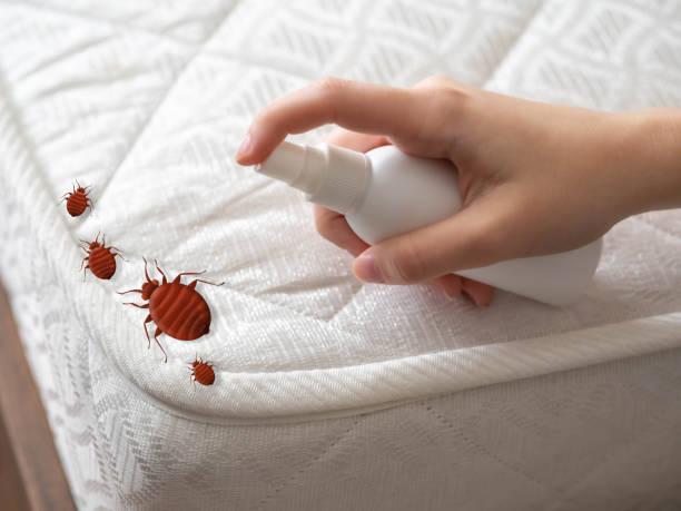 Best Residential Pest Control  in Custer, SD