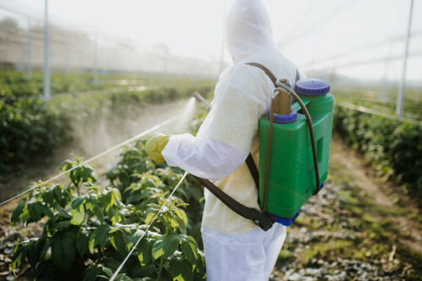 Best Best Pest Control Companies  in Custer, SD